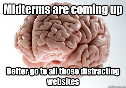 Midterms are coming up Better go to all those distracting websites   Scumbag Brain