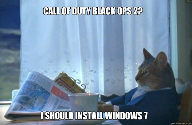 Call of Duty Black ops 2? i should install windows 7  Sophisticated Cat