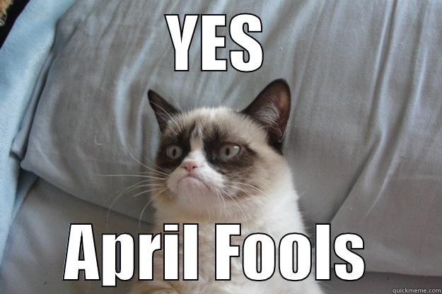 YES APRIL FOOLS Grumpy Cat