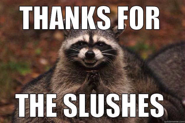 THANKS FOR THE SLUSHES Evil Plotting Raccoon
