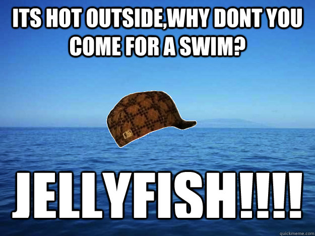 its hot outside,why dont you come for a swim? jellyfish!!!! - its hot outside,why dont you come for a swim? jellyfish!!!!  Misc