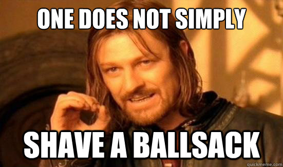 One Does Not Simply Shave a ballsack - One Does Not Simply Shave a ballsack  Boromir