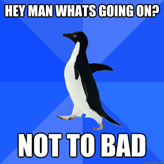 Hey Man whats going on? not to bad  Socially Awkward Penguin