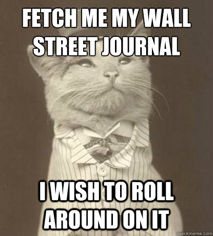 fetch me my wall street journal I wish to roll around on it  Aristocat