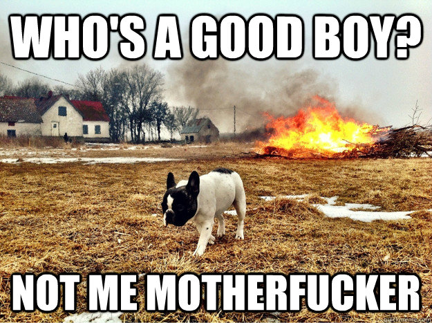 Who's a good boy? Not me motherfucker - Who's a good boy? Not me motherfucker  Misc