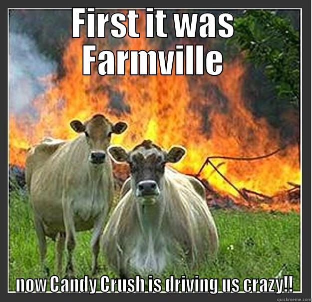 FIRST IT WAS FARMVILLE NOW CANDY CRUSH IS DRIVING US CRAZY!! Evil cows