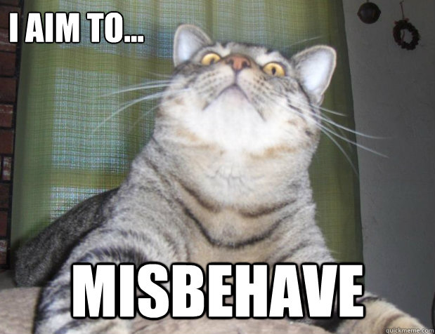 I aim to... Misbehave  