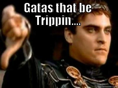GATAS THAT BE TRIPPIN....  Downvoting Roman