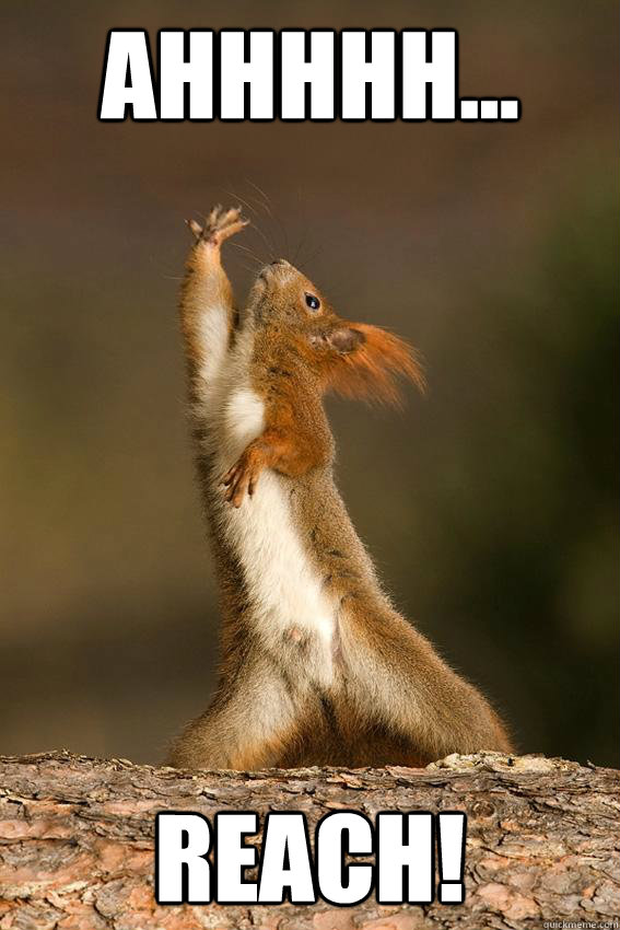 AHHHhh... Reach!  Shakespeare Squirrel