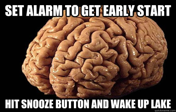set alarm to get early start hit snooze button and wake up lake  
