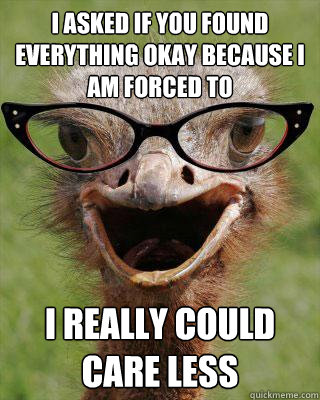 I asked if you found everything okay because I am forced to I really could care less  Judgmental Bookseller Ostrich