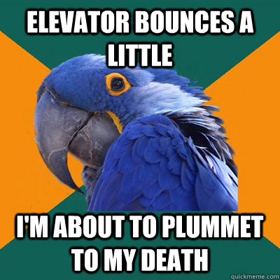 ELEVATOR BOUNCES A LITTLE I'M ABOUT TO PLUMMET TO MY DEATH  Paranoid Parrot