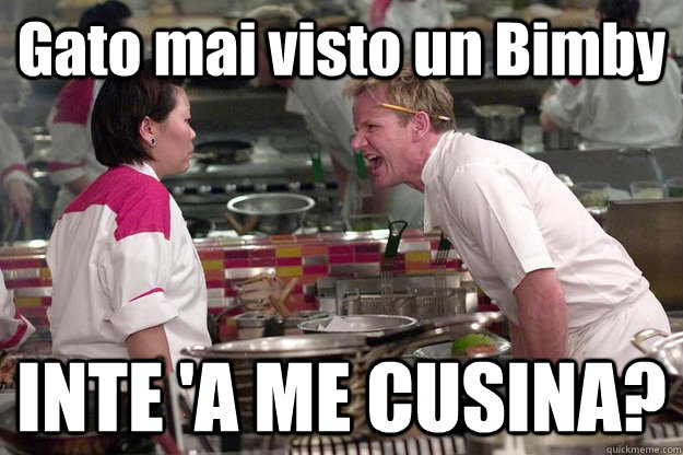 Gato mai visto un Bimby INTE 'A ME CUSINA? - Gato mai visto un Bimby INTE 'A ME CUSINA?  Misc