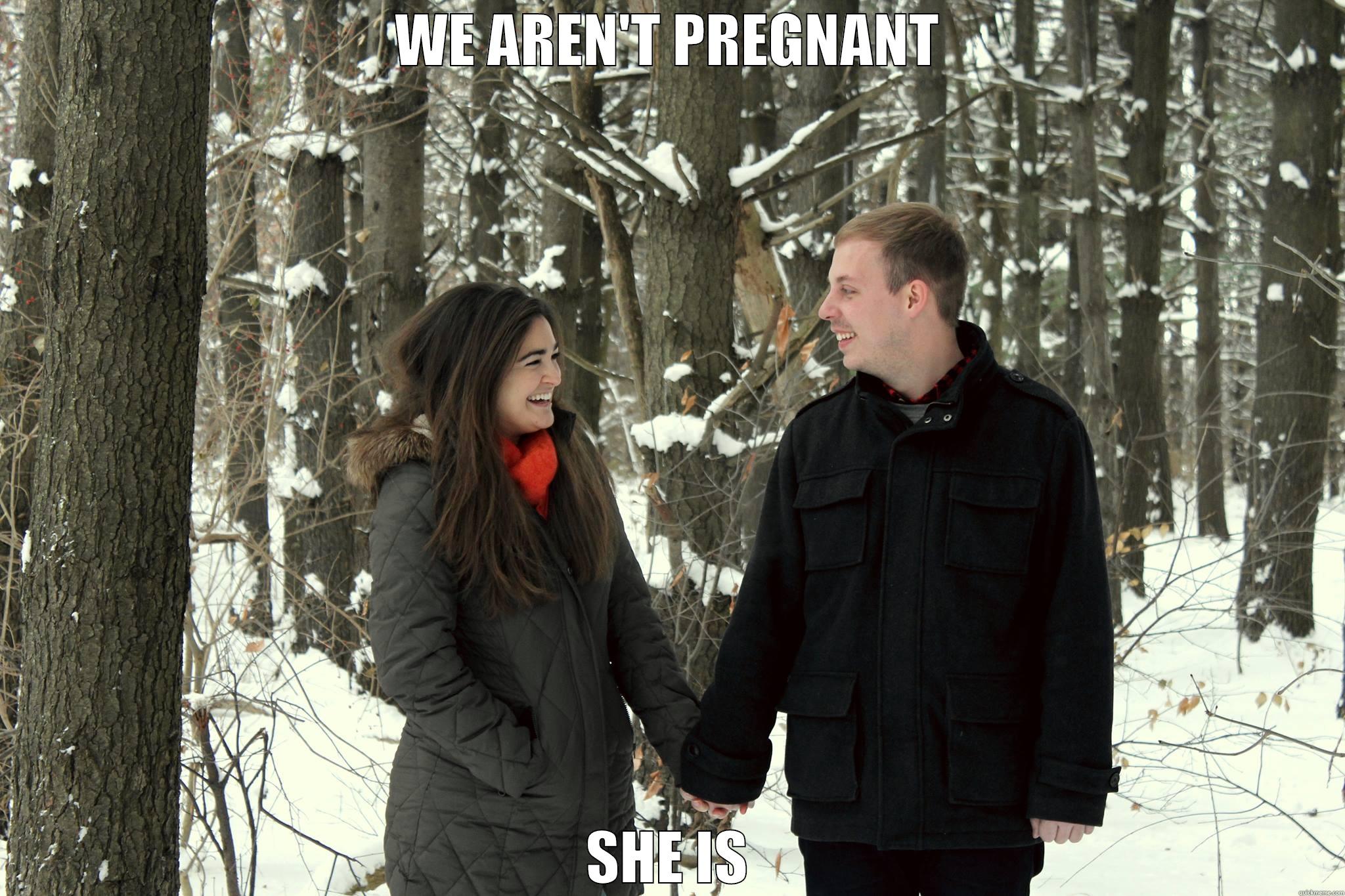 WE AREN'T PREGNANT SHE IS Misc