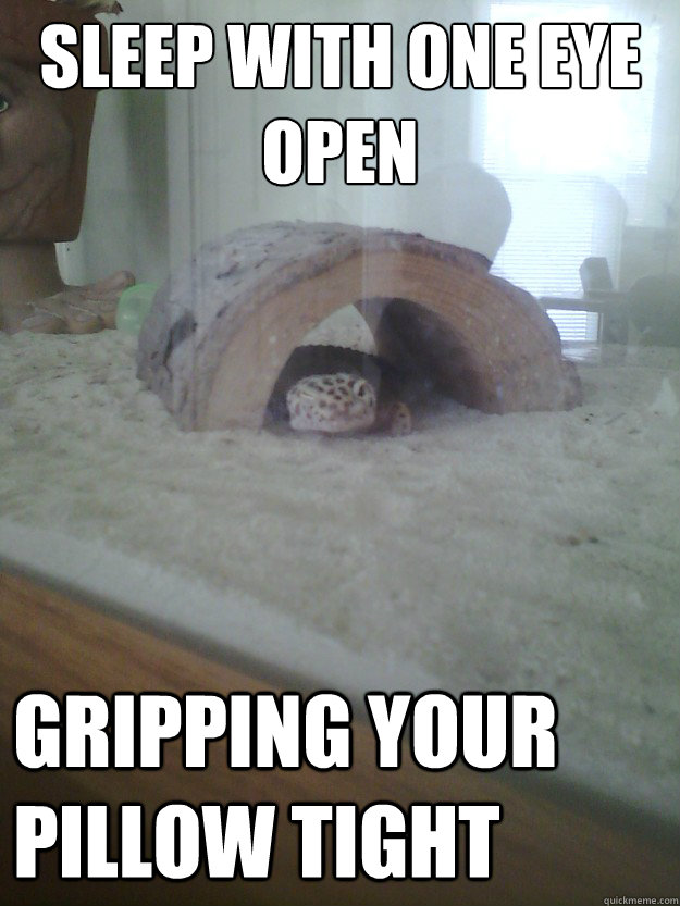 Sleep with one eye open Gripping your pillow tight - Sleep with one eye open Gripping your pillow tight  Charming Gecko