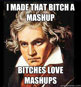 I made that bitch a mashup bitches love mashups  Beethoven sonata