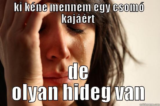 KI KÉNE MENNEM EGY CSOMÓ KAJÁÉRT  DE OLYAN HIDEG VAN First World Problems