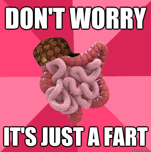 Don't worry It's just a fart  Scumbag Intestines