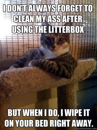 I don't always forget to clean my ass after using the litterbox but when I do, i wipe it on your bed right away.  The Most Interesting Cat in the World