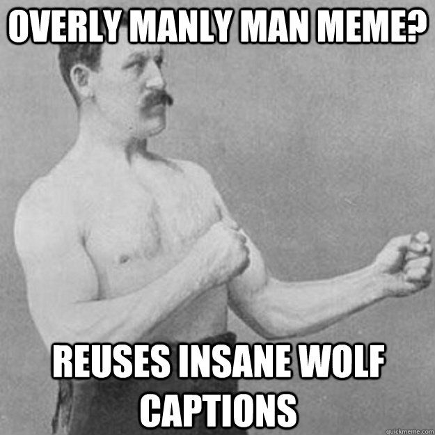 Overly Manly Man Meme? Reuses Insane wolf captions - Overly Manly Man Meme? Reuses Insane wolf captions  Misc