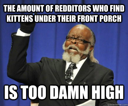 The amount of redditors who find kittens under their front porch is too damn high - The amount of redditors who find kittens under their front porch is too damn high  Too Damn High