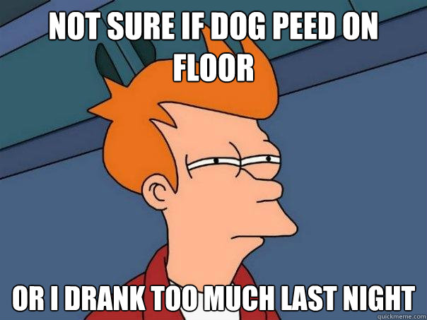 not sure if dog peed on floor or i drank too much last night  Futurama Fry