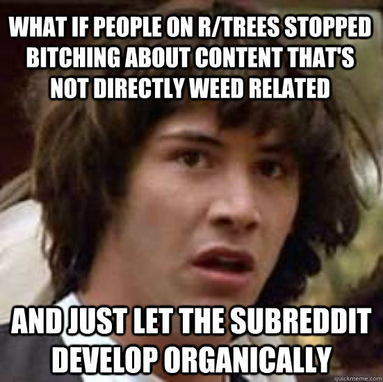 what if people on r/trees stopped bitching about content that's not directly weed related and just let the subreddit develop organically   conspiracy keanu