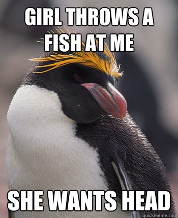 Girl throws a Fish at me She wants head
  Socially Overconfident Penguin