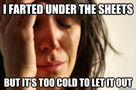 I farted under the sheets but it's too cold to let it out   First World Problems