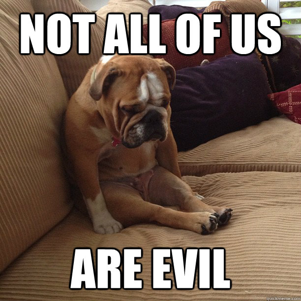 Not all of us Are evil  depressed dog