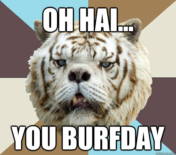 Oh hai... you burfday  Kenny the Retarded Tiger