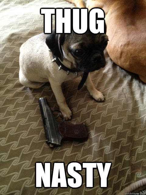 thug nasty - thug nasty  pug nasty pug