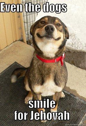 EVEN THE DOGS                SMILE FOR JEHOVAH Good Dog Greg