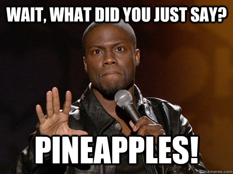 Wait, what Did You Just Say? Pineapples!  Kevin Hart