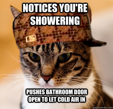 Notices you're showering pushes bathroom door open to let cold air in  Scumbag Cat