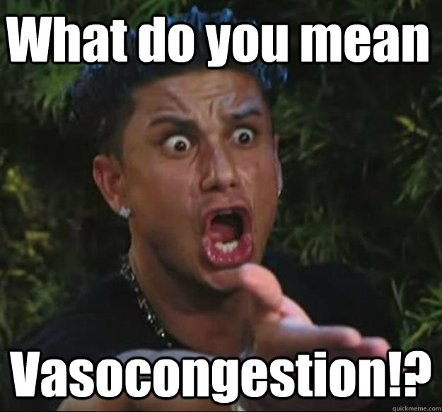 What do you mean Vasocongestion!?  Pauly D