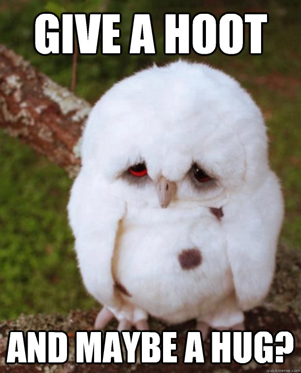 Give a hoot And maybe a hug?  