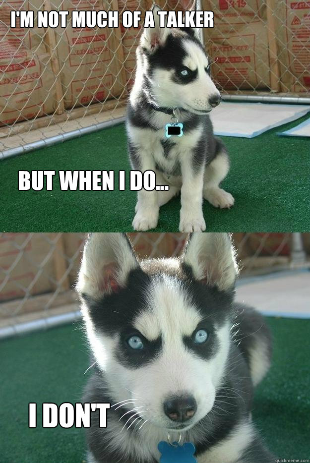 I'm not much of a talker but when I do... I don't  Insanity puppy