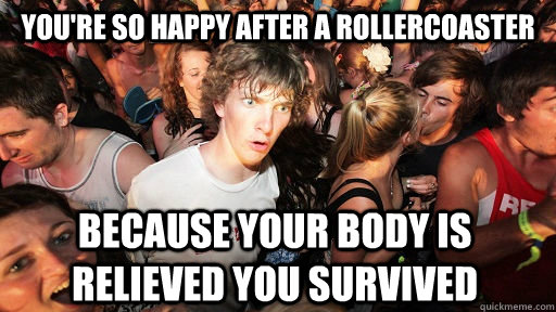 You're so happy after a rollercoaster because your body is relieved you survived  Sudden Clarity Clarence