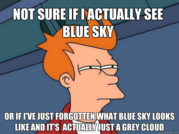 Not sure if i actUALLy see blue Sky  or if i've just forgotten what blue sky looks like and it's  actually just a grey cloud  Futurama Fry