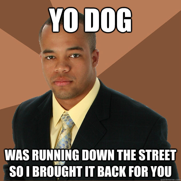 Yo Dog Was running down the street so I brought it back for you  Successful Black Man