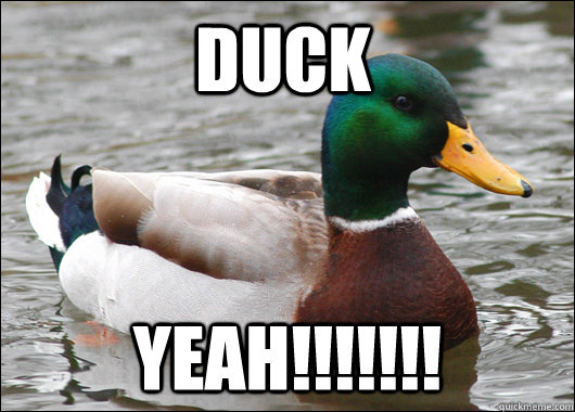 duck yeah!!!!!!! - duck yeah!!!!!!!  Actual Advice Mallard