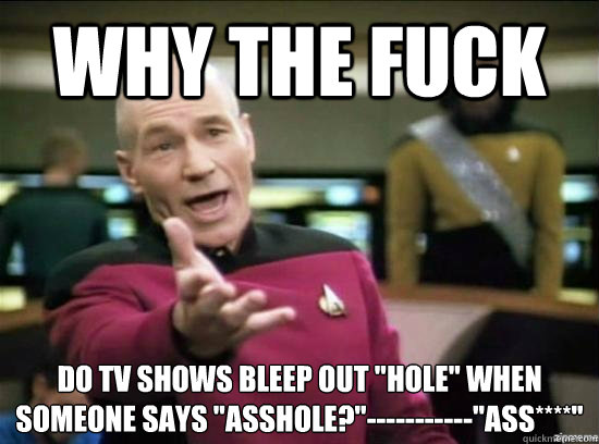 Why the fuck Do TV shows bleep out 