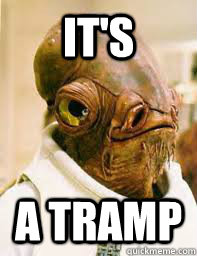 IT'S A TRAmP  Its a trap