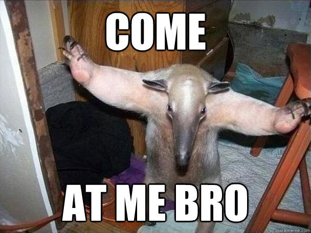 come at me bro  I got this