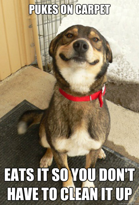 pukes on carpet eats it so you don't have to clean it up  Good Guy Dog