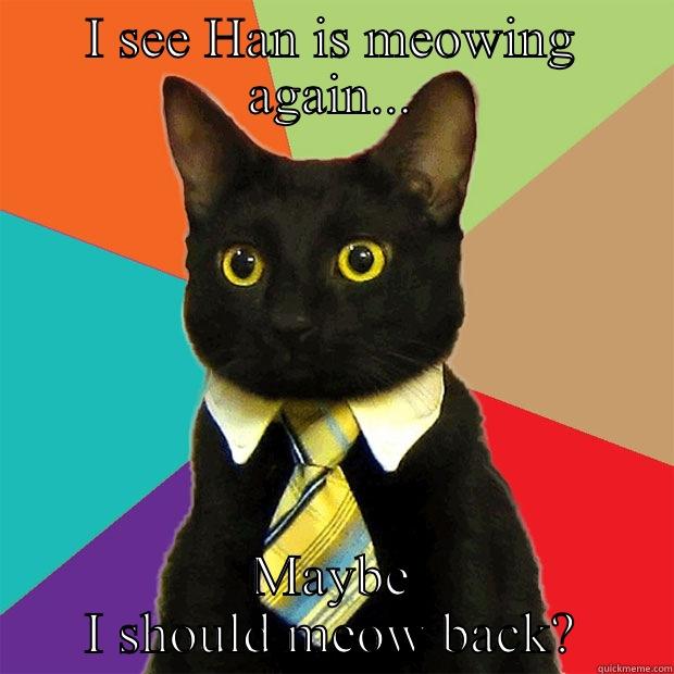 I SEE HAN IS MEOWING AGAIN... MAYBE I SHOULD MEOW BACK? Business Cat