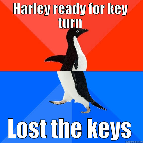 HARLEY READY FOR KEY TURN LOST THE KEYS Socially Awesome Awkward Penguin