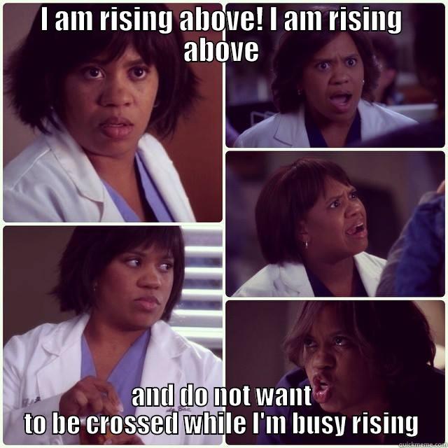 I AM RISING ABOVE! I AM RISING ABOVE AND DO NOT WANT TO BE CROSSED WHILE I'M BUSY RISING Misc
