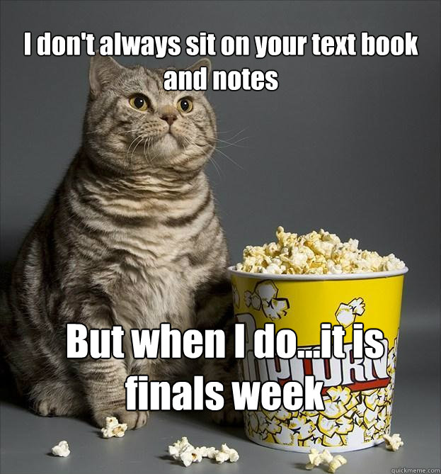 I don't always sit on your text book and notes But when I do...it is finals week  Critic Cat